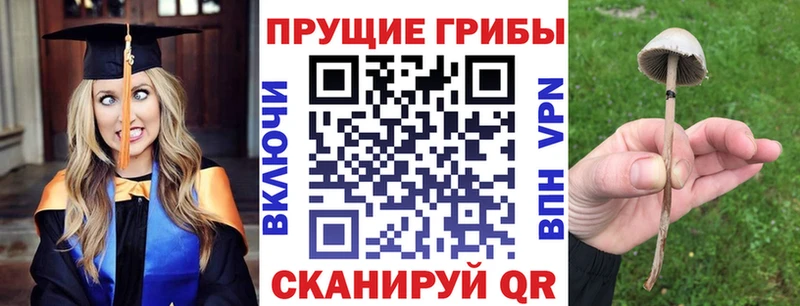 Купить закладки  Чебаркуль  Галлюциногенные грибы MAGIC MUSHROOMS 